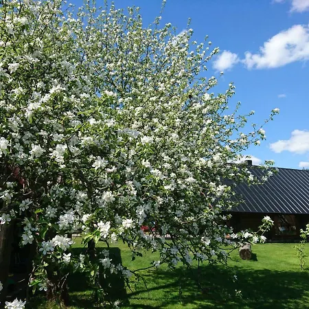 Marknatalu Puhkemajad 木屋