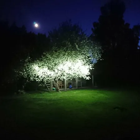 Marknatalu Puhkemajad 木屋 派尔努
