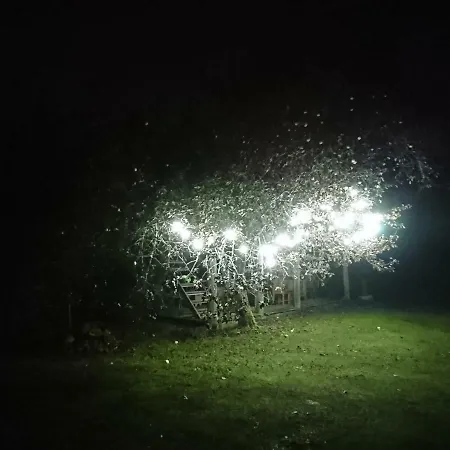 Marknatalu Puhkemajad Dağ evi *