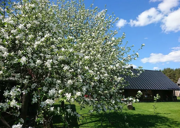 Marknatalu Puhkemajad شاليه