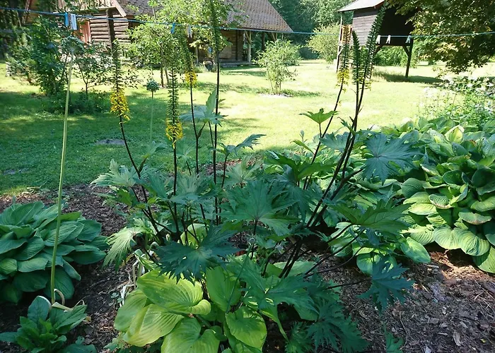 شاليه Marknatalu Puhkemajad بارنو