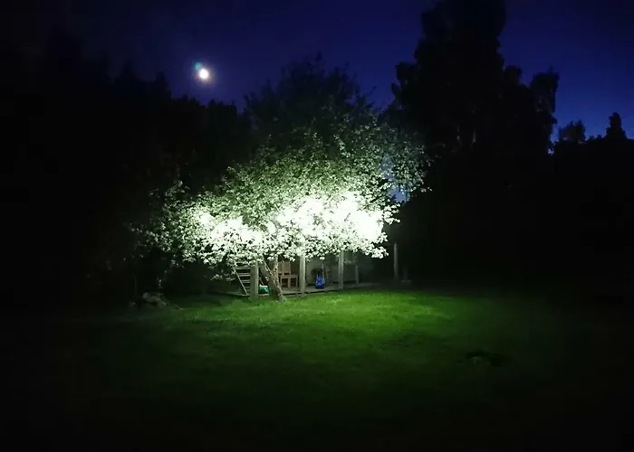 Marknatalu Puhkemajad شاليه بارنو